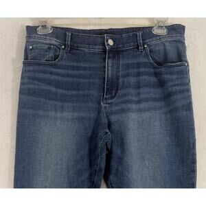 Ann Taylor Jeans 12 Blue Womens